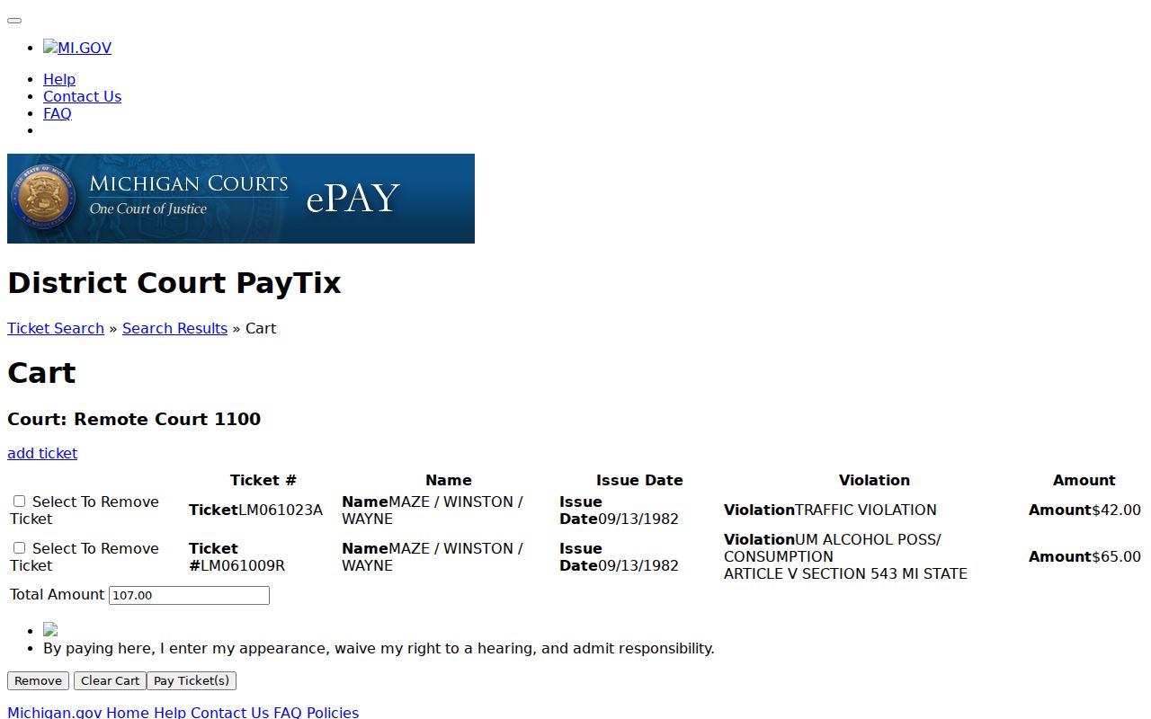 Osceola County traffic tickets eTix payment cart notice and generic ticket fields